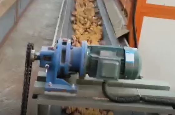 視頻（pín）展示